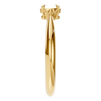 Afbeelding van Orchid 14K Yellow 5x3 mm Oval Seven Stone-Style Ring Mounting