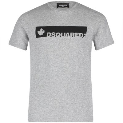 Afbeelding van Dsquared2 DQ02UT kinder t-shirt licht grijs