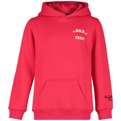 Picture of in Gold We Trust FAH027KIDS kids sweater red
