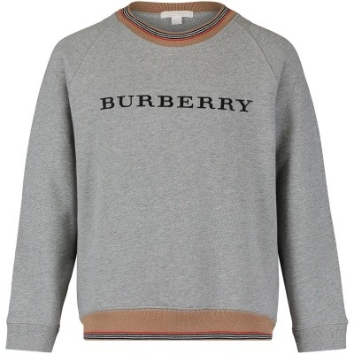 Afbeelding van Burberry 8002427 kindertrui grijs