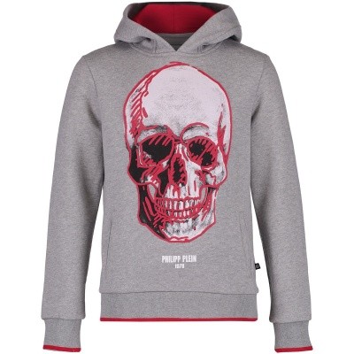 Afbeelding van Philipp Plein BJB0123 kindertrui grijs
