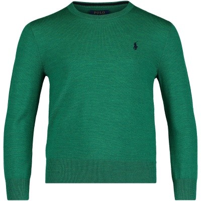 Afbeelding van Ralph Lauren 323702312 kindertrui groen