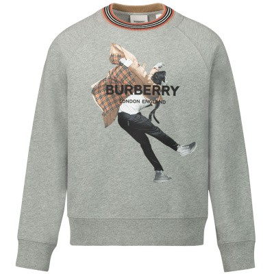 Burberry 8011692 kindertrui grijs Afbeelding van Burberry 8011692 kindertrui grijs