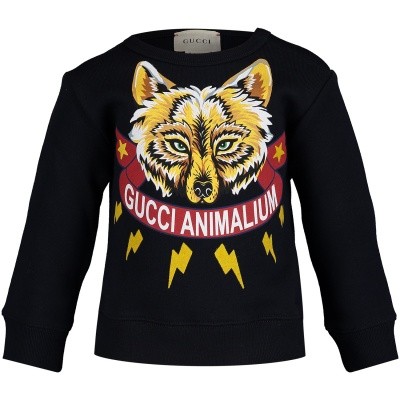 Afbeelding van Gucci 522994 baby trui blauw