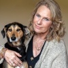Afbeelding van Gewoon een hond?