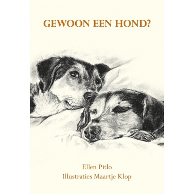 Foto van Gewoon een hond?