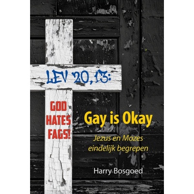 Foto van Gay is okay e-boek