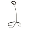 CALEXOTICS Euphoria Chain Halter Collar & Leash Plus Size