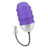 Mr Boss Denis Remote Control Egg Vibrator