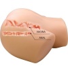 Crazy Bull Vivian Female Rear Realistic Masturbator 7kg
