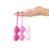Afbeelding van FeelzToys - FemmeFit Bekkenspier Training Set 3 st