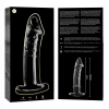 Nebula Series Model 19 Clear Glass Dildo 18.5cm