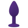 Intense Shelki S Anal Plug Lilac