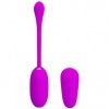 Shock Fun Vibrating Egg And Electroshock
