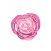 Afbeelding van BOOTY SPARKS - Rose Glass Anaalplug Small - Roze