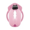 Afbeelding van LOCKDOWN - Chastity Cage Small - Roze