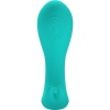 Pretty Love — Idabelle Vibration & Pulsation Remote Control Blue