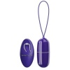 Pretty Love Arvin Violet Vibrating Egg Remote Control