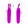 Pretty Love Boyce Lilac Mini Stimulator