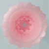 Pretty Love Athena Alice Male Masturbator Pink