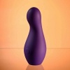 Afbeelding van Playboy - The Jet Set Vibe - Paars