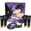 Shunga Secret Geisha Exotic Fruits Kit