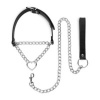 Afbeelding van Bedroom Fantasies - Halsband met Ketting - Zilver