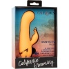 California Dreaming Montecito Muse Rabbit Orange