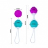 Pretty Love Hegel Kegel Balls Set