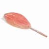 Afbeelding van Out of the Blue - Vagina Lolly Met Smaak - Aardbei