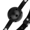 Afbeelding van Bedroom Fantasies - Ball Gag met Tepelklemmen - Zwart