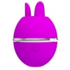 Pretty Love Gemini Ball Purple Vibrator