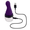 Afbeelding van Playboy - The Jet Set Vibe - Paars