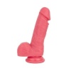 Afbeelding van EasyToys Dildo - With Balls Coral Pink - 17,5 cm
