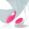 Intense Rob Remote Control Panty Vibrator Pink