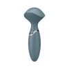 Satisfyer Mini Wander Grey
