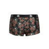 Anais Men Power Boxer L