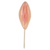 Afbeelding van Out of the Blue - Vagina Lolly Met Smaak - Aardbei