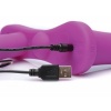 Afbeelding van XR Brands - Dubbele Vibrerende Dildo Met Harnas - Paars