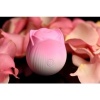 Afbeelding van BLOOMGASM - Pulsing Petals Stimulator Tapfunctie Roos - Roze
