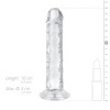 Afbeelding van Jelly Dildo zonder Ballen - 14 cm
