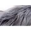 Afbeelding van TAILZ - Grey Wolf Staartplug & Oorenset
