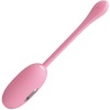 Pretty Love Doreen Pink Vibrating Egg Dual Cord