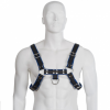 Leather Body Blue Black Chest Harness