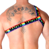 Macho Roman Harness Pride S/M