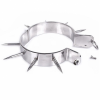 Metal Hard BDSM Slave Collar With Points