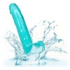 Calexotics Size Queen Dildo Blue 20.3cm
