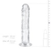 Afbeelding van Jelly Dildo zonder ballen - 16 cm