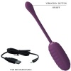 Pretty Love — Casper Purple Rechargeable Vibrating Egg