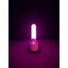 Afbeelding van Paradise Pleasure Products - Illumination The Bullet - Wit